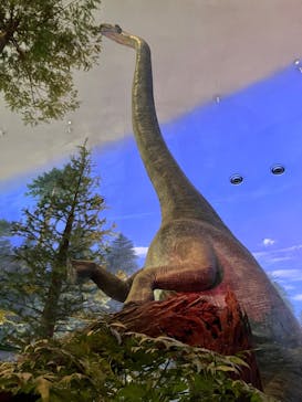 福井県立恐竜博物館に投稿された画像（2024/10/17）