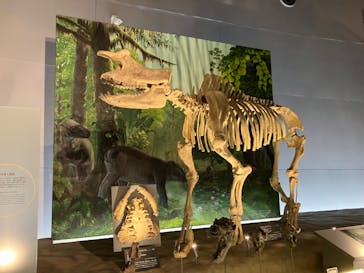福井県立恐竜博物館に投稿された画像（2024/10/17）