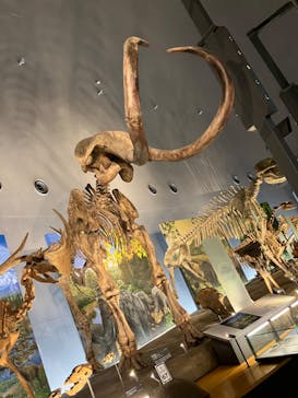 福井県立恐竜博物館に投稿された画像（2024/10/17）