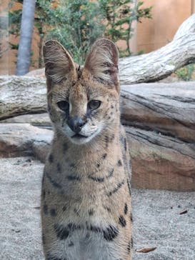 那須どうぶつ王国に投稿された画像（2024/10/17）