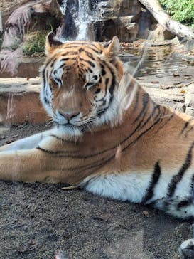 那須どうぶつ王国に投稿された画像（2024/10/17）