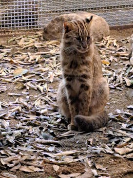 那須どうぶつ王国に投稿された画像（2024/10/17）