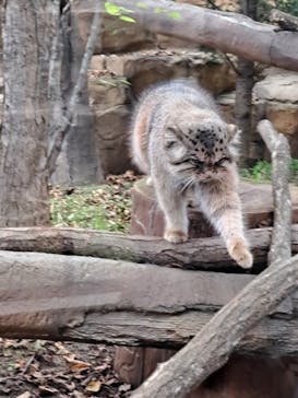 那須どうぶつ王国に投稿された画像（2024/10/17）