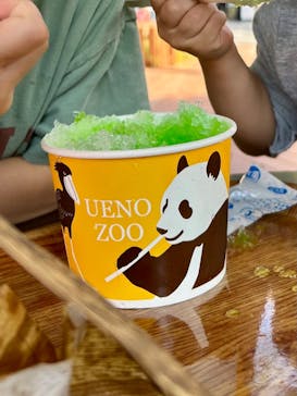 恩賜上野動物園に投稿された画像（2024/10/17）