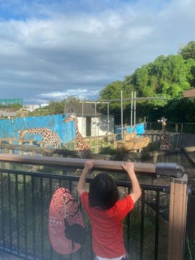 沖縄こどもの国に投稿された画像（2024/10/17）