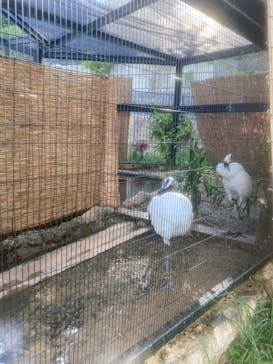 沖縄こどもの国に投稿された画像（2024/10/17）