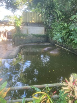 沖縄こどもの国に投稿された画像（2024/10/17）