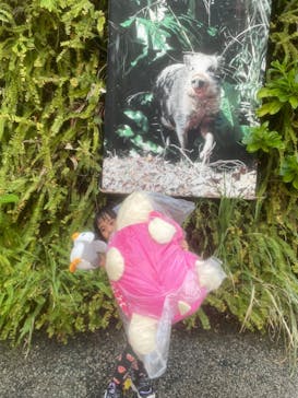 沖縄こどもの国に投稿された画像（2024/10/17）