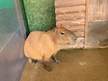 新江ノ島水族館に投稿された画像（2024/10/17）