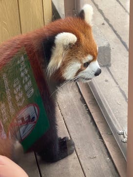 しながわ水族館に投稿された画像（2024/10/17）