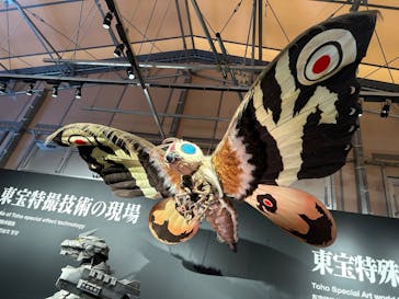 ニジゲンノモリに投稿された画像（2024/10/17）