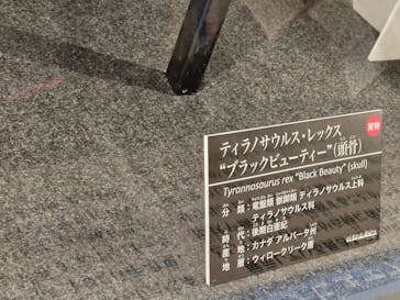 福井県立恐竜博物館に投稿された画像（2024/10/17）