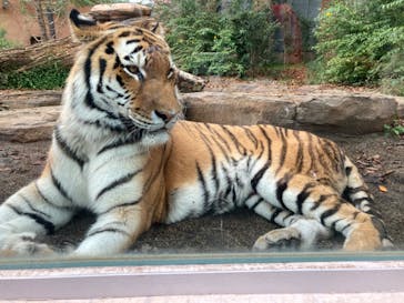 那須どうぶつ王国に投稿された画像（2024/10/17）