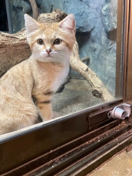 那須どうぶつ王国に投稿された画像（2024/10/17）