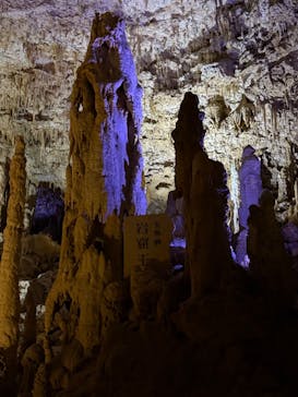 おきなわワールドに投稿された画像（2024/10/17）