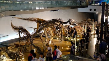 福井県立恐竜博物館に投稿された画像（2024/10/17）