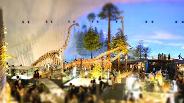 福井県立恐竜博物館に投稿された画像（2024/10/17）