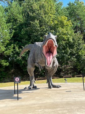 福井県立恐竜博物館に投稿された画像（2024/10/17）