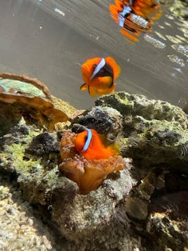 横浜・八景島シーパラダイスに投稿された画像（2024/10/18）