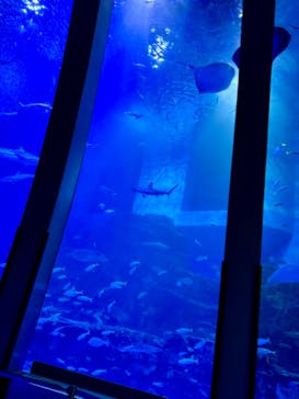 横浜・八景島シーパラダイスに投稿された画像（2024/10/18）