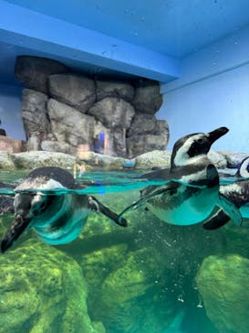 横浜・八景島シーパラダイスに投稿された画像（2024/10/18）