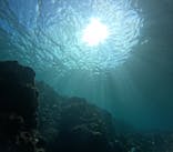 青の洞窟専門店　沖縄ダイビングショップ和に投稿された画像（2024/10/18）