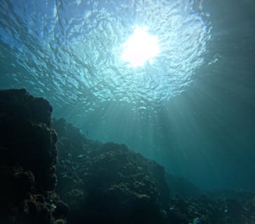 青の洞窟専門店　沖縄ダイビングショップ和に投稿された画像（2024/10/18）