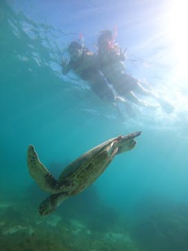 nico 宮古島に投稿された画像（2024/10/18）