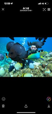 武藤潜水に投稿された画像（2024/10/18）