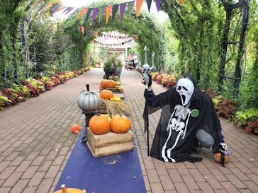 横浜イングリッシュガーデンに投稿された画像（2024/10/18）