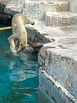 天王寺動物園に投稿された画像（2024/10/18）