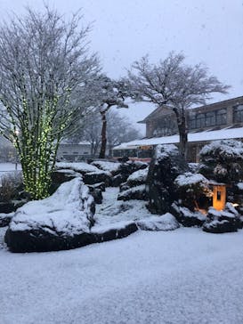 天然温泉 花鳥風月に投稿された画像（2024/10/18）