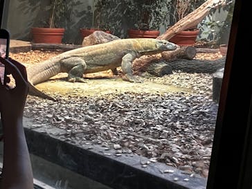 名古屋市東山動植物園に投稿された画像（2024/10/18）