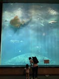 葛西臨海水族園に投稿された画像（2024/10/18）