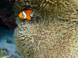 宮古ぱちツアーズに投稿された画像（2024/10/18）