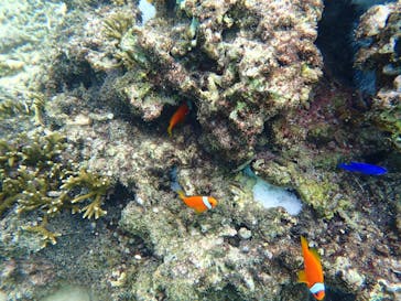 宮古ぱちツアーズに投稿された画像（2024/10/18）