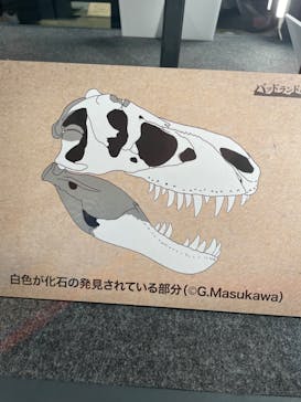 福井県立恐竜博物館に投稿された画像（2024/10/18）