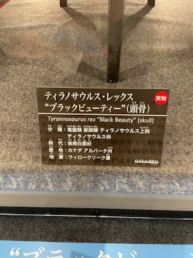 福井県立恐竜博物館に投稿された画像（2024/10/18）