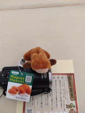 福井県立恐竜博物館に投稿された画像（2024/10/18）