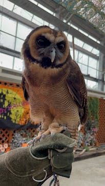 掛川花鳥園に投稿された画像（2024/10/18）