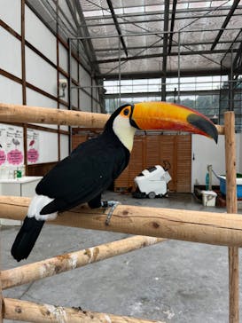 掛川花鳥園に投稿された画像（2024/10/18）