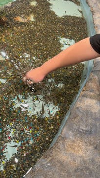 アクアテラス錦ケ丘に投稿された画像（2024/10/18）