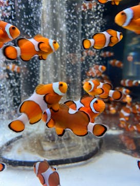 鴨川シーワールドに投稿された画像（2024/10/18）