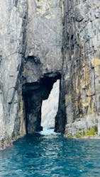 青海島観光汽船に投稿された画像（2024/10/18）