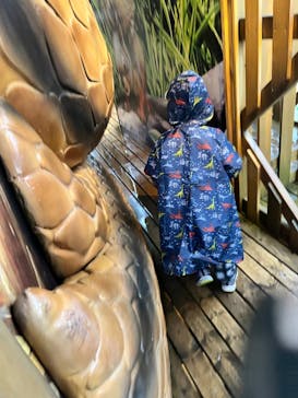 モビリティリゾートもてぎに投稿された画像（2024/10/18）