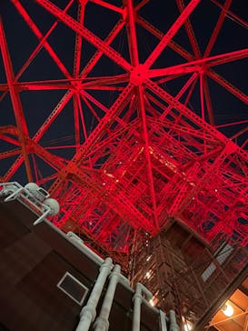 東京タワーに投稿された画像（2024/10/18）