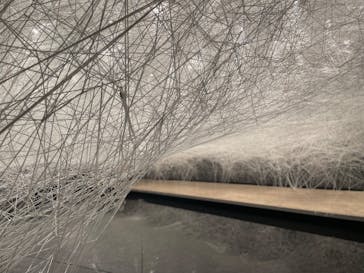 塩田千春　つながる私（アイ）　@大阪中之島美術館に投稿された画像（2024/10/18）