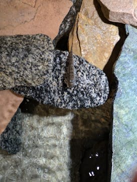 竹島水族館に投稿された画像（2024/10/18）