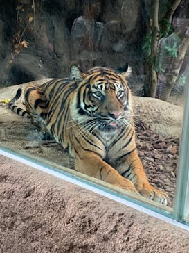 神戸どうぶつ王国に投稿された画像（2024/10/18）