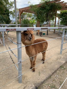 神戸どうぶつ王国に投稿された画像（2024/10/18）